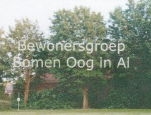 Bomenwandeling door Oog in Al